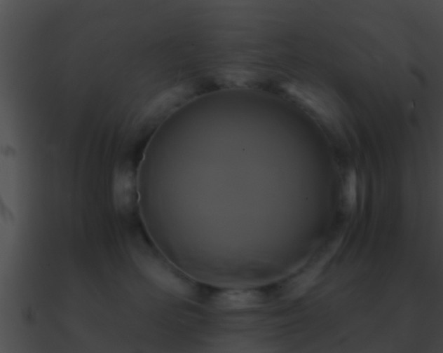 X0000090860526200708030950