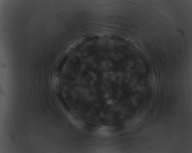 X0000090860527200708030950