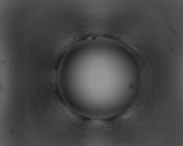 X0000090860528200708030950