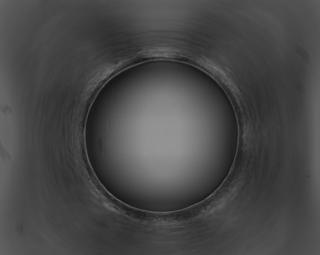 X0000090860529200708030949