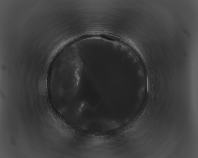 X0000090860531200708030950