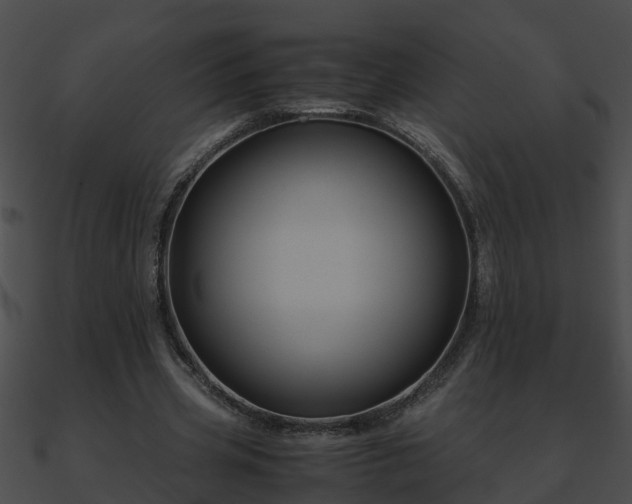 X0000090860533200708030950