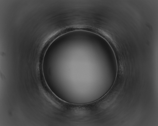 X0000090860535200708030950