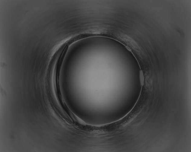 X0000090860536200708030950