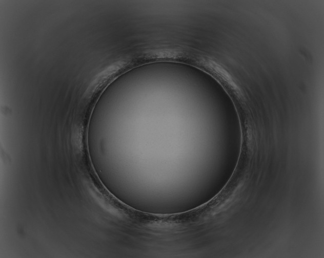X0000090860537200708030950