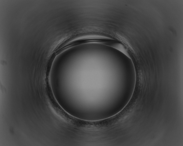 X0000090860538200708030950