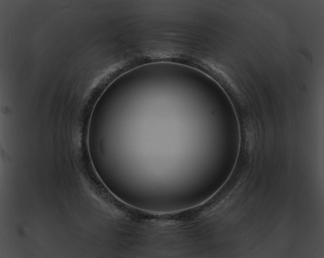 X0000090860539200708030950