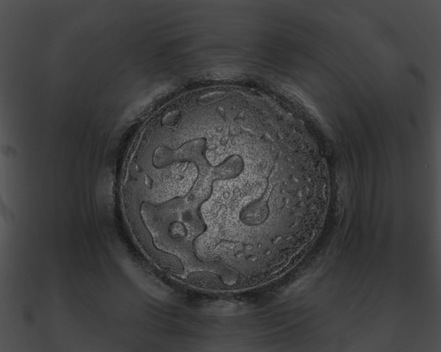 X0000090860542200708030950