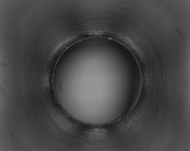 X0000090860543200708030950