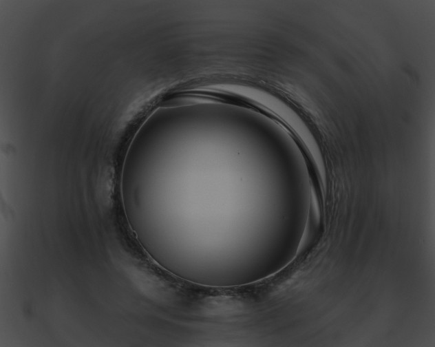 X0000090860544200708030950