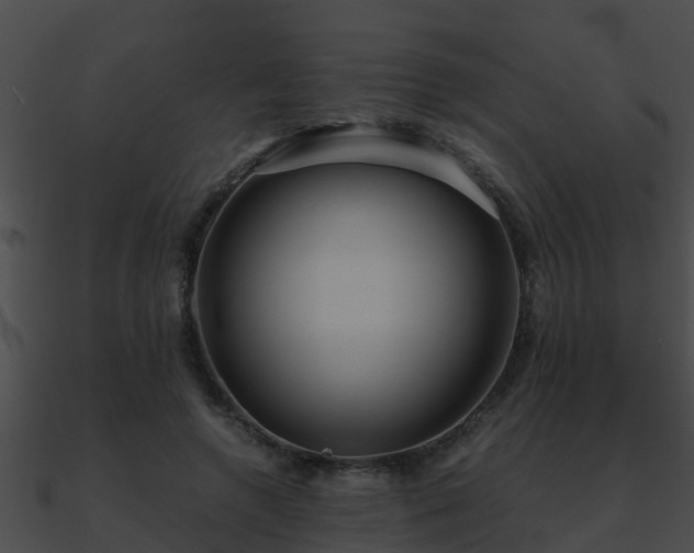 X0000090860546200708030950
