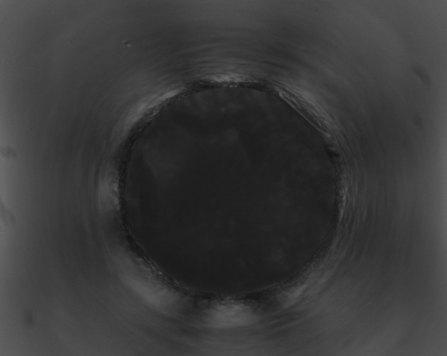 X0000090860547200708030950