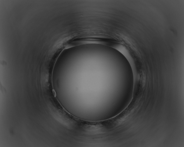 X0000090860548200708030950