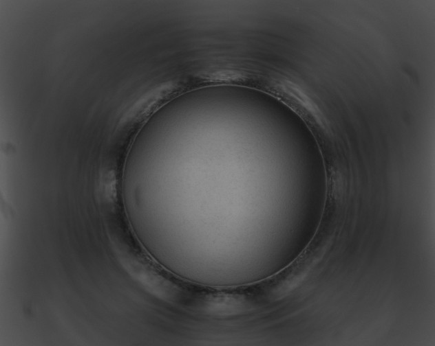 X0000090860549200708030950