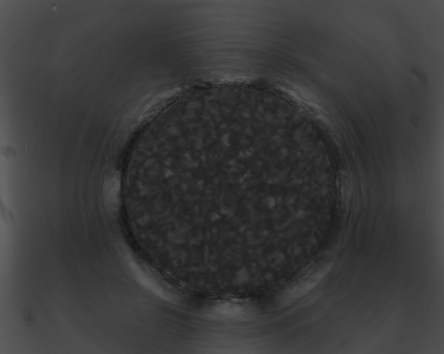 X0000090860550200708030950