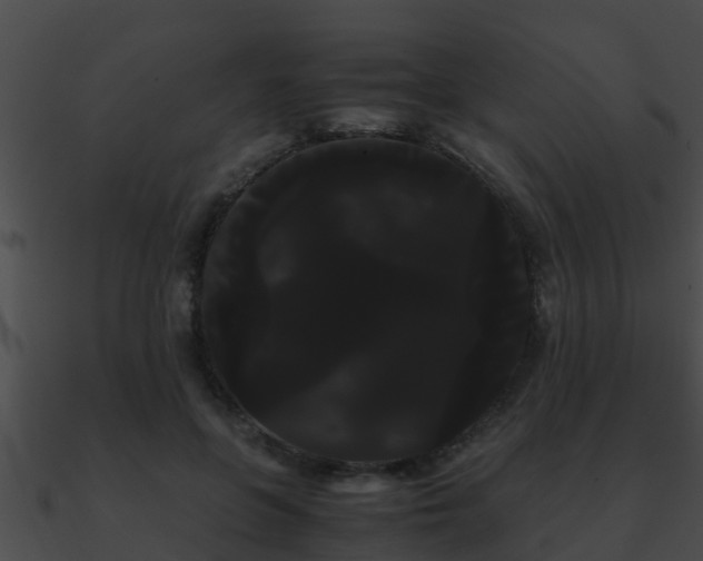 X0000090860551200708030950