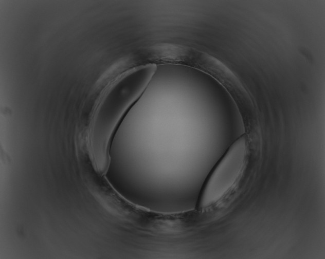 X0000090860552200708030950