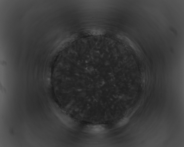 X0000090860553200708030950