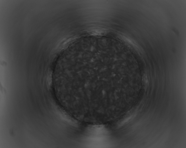 X0000090860554200708030950