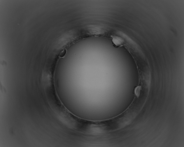X0000090860556200708030950