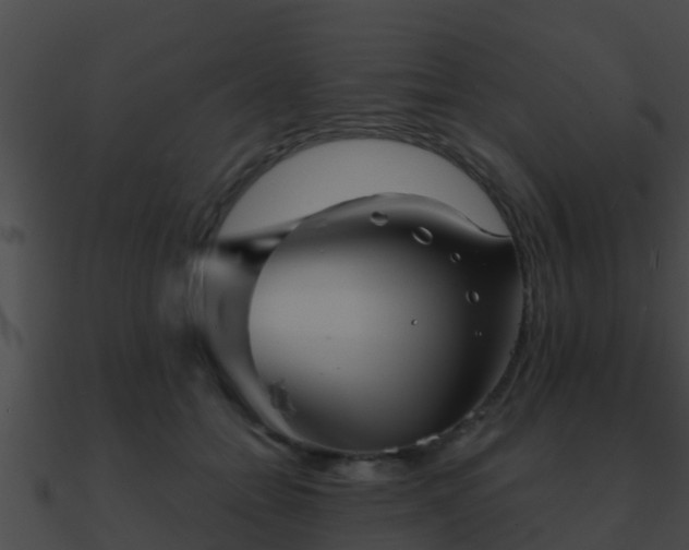 X0000090860558200708030950