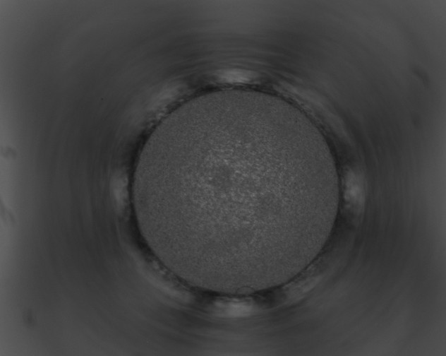 X0000090860559200708030950