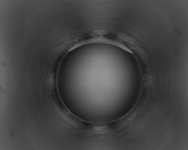 X0000090860560200708030950