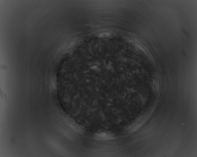 X0000090860561200708030950