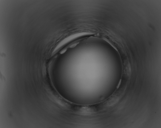 X0000090860562200708030950