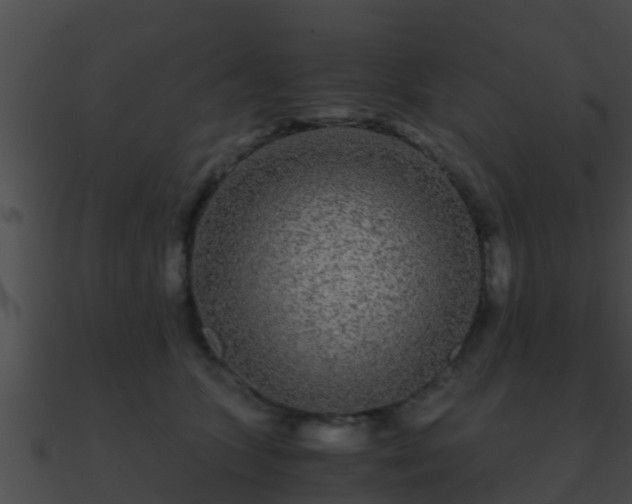 X0000090860563200708030950