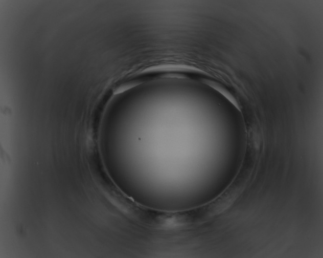X0000090860564200708030950