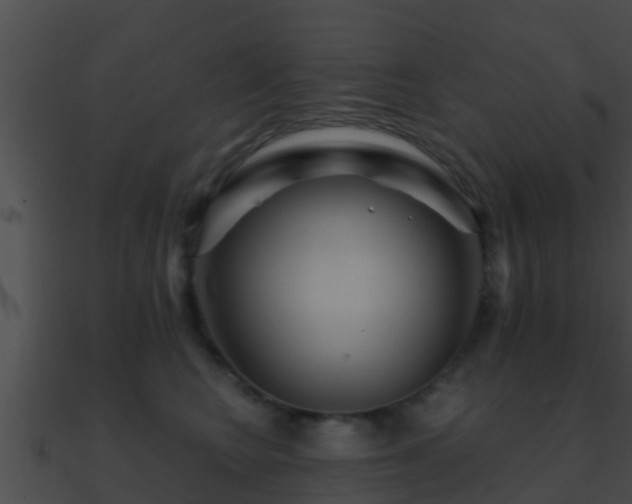 X0000090860566200708030950