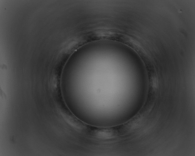 X0000090860567200708030950