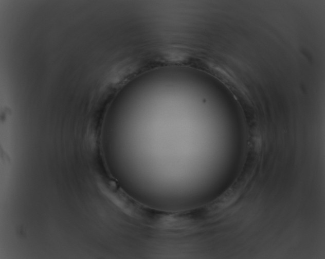X0000090860568200708030950