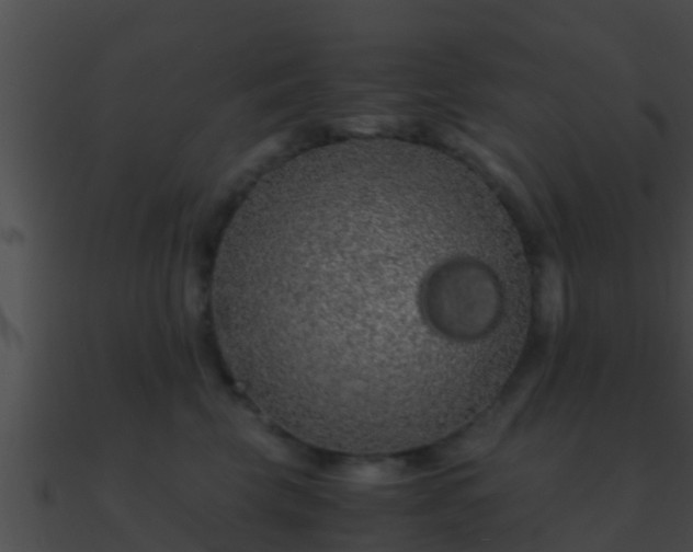 X0000090860569200708030950
