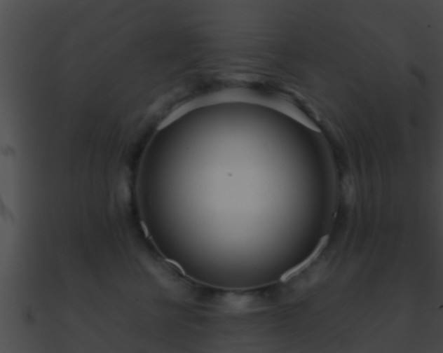 X0000090860570200708030950