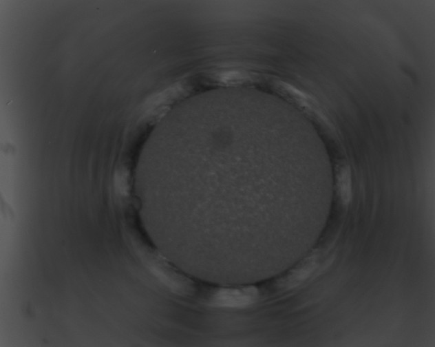 X0000090860571200708030950