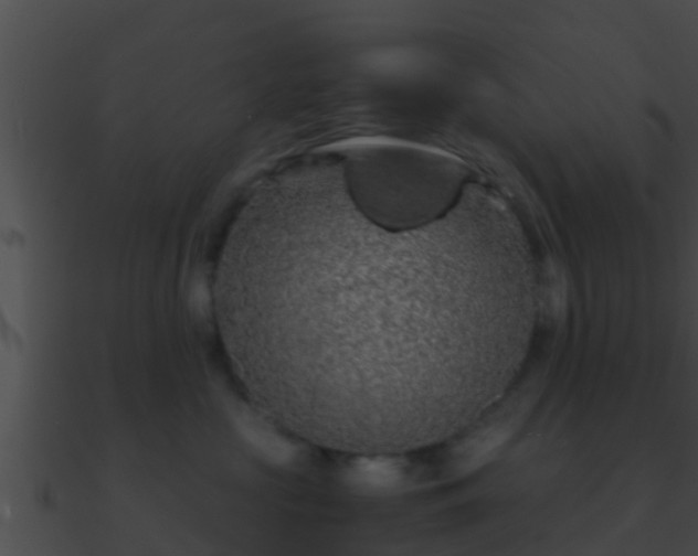 X0000090860573200708030950