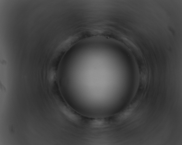 X0000090860574200708030950