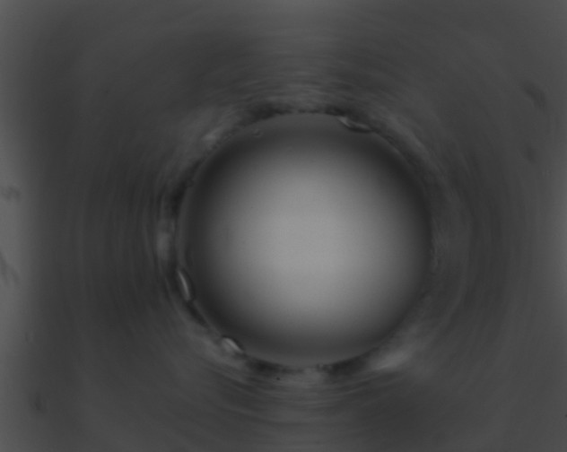 X0000090860576200708030950