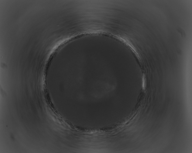 X0000090860579200708030949