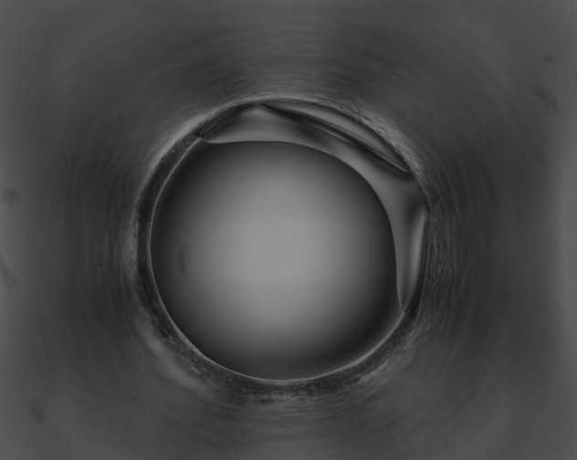 X0000090860580200708030949