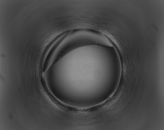 X0000090860581200708030949