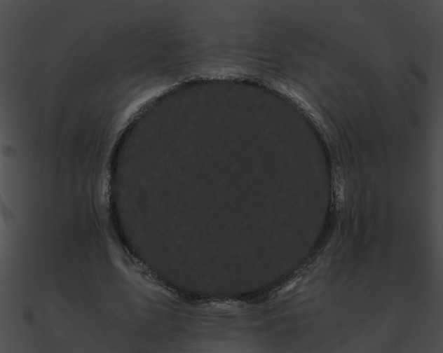 X0000090860583200708030949