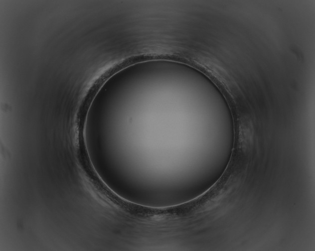 X0000090860584200708030949
