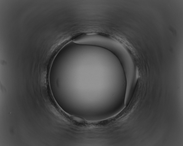 X0000090860585200708030949