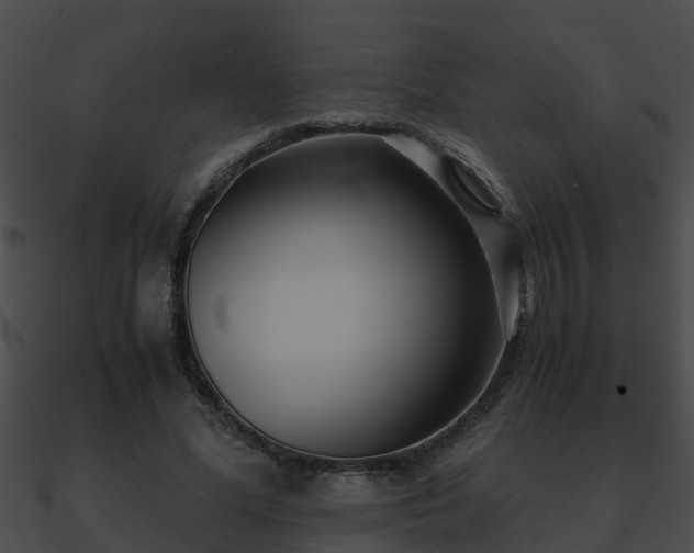 X0000090860588200708030949