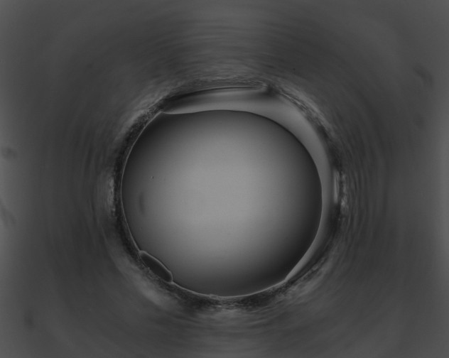 X0000090860589200708030949