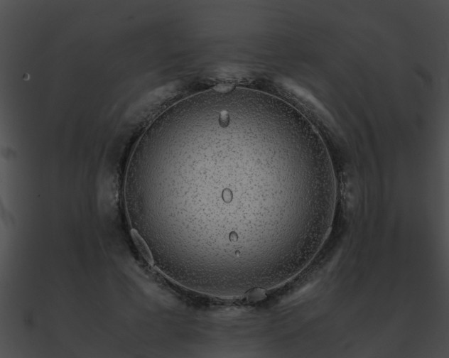 X0000090860593200708030949