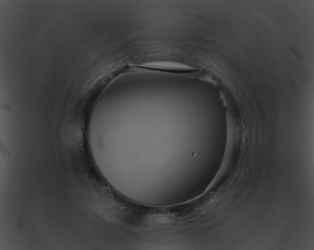 X0000090860595200708030949
